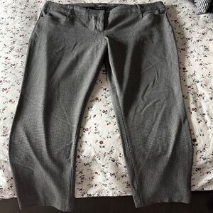 Express Columnist Gray Dress Pants with Classic Fit